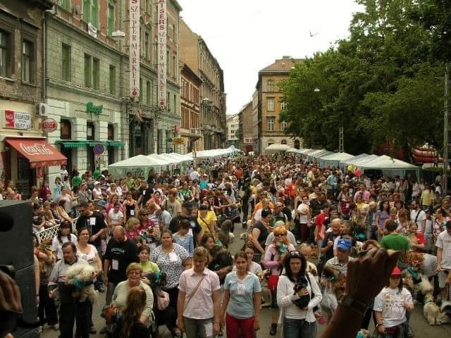 kutysnaprekord.jpg